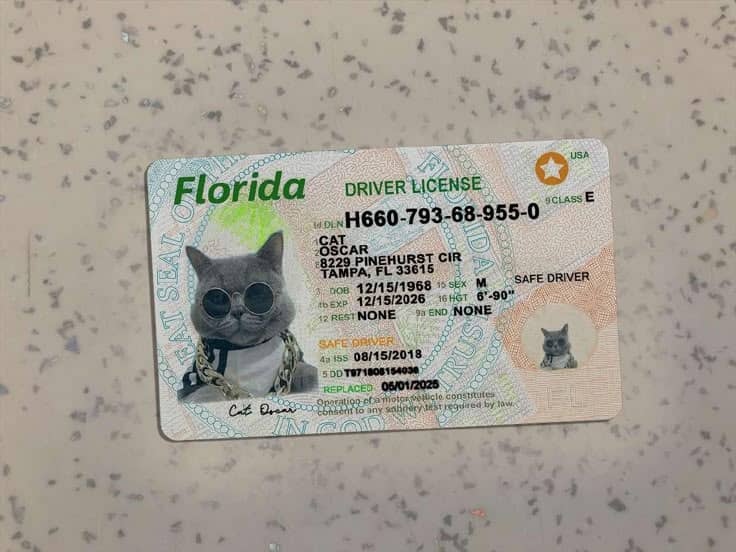 Get US Driving License Online